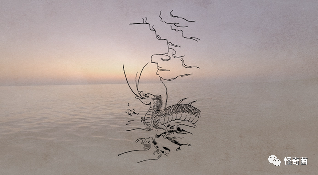 海妖三姐妹_海妖：_海妖的呼唤