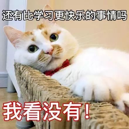 邪君恶妃神秘通灵师_张良与神秘的平原君_替嫁神秘邪君的温柔