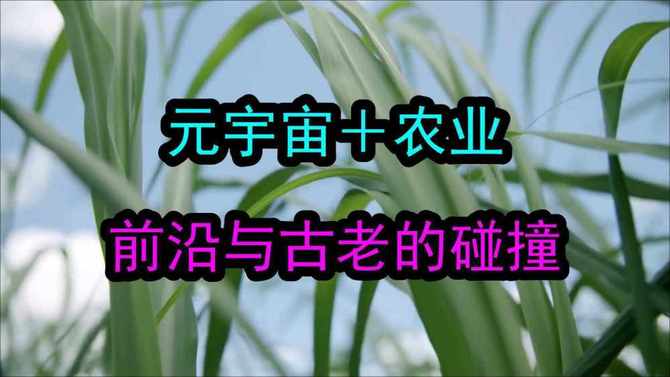 AI科技讯, 元宇宙在农业行业中的应用